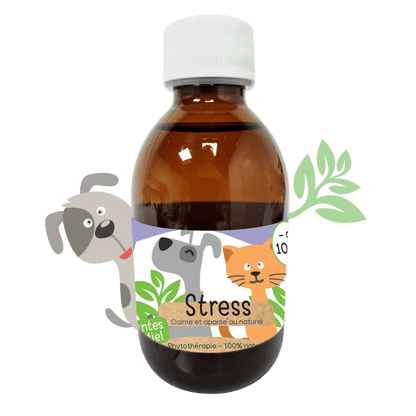 Sirop naturel Anti-stress chiens et chats Kas Tête - Le Royaume de Lecki