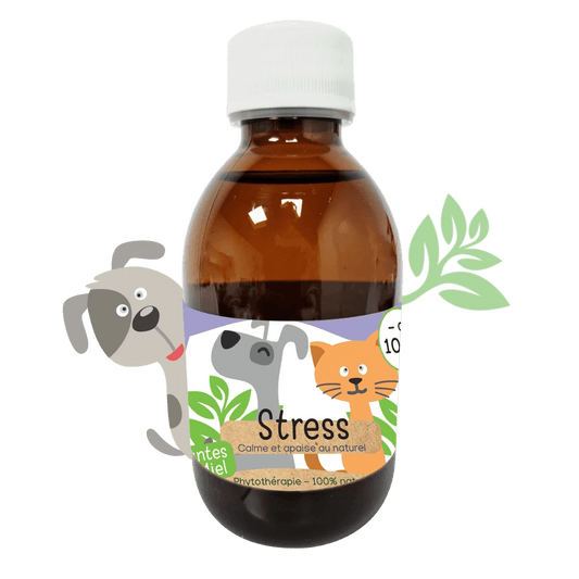 Sirop naturel Anti-stress chiens et chats Kas Tête - Le Royaume de Lecki