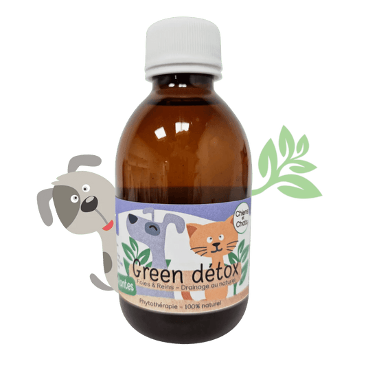 Sirop naturel Détox chiens et chats Kas Tête - Le Royaume de Lecki