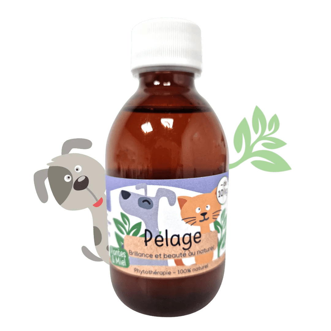 Sirop naturel Pelage chiens et chats Kas Tête - Le Royaume de Lecki