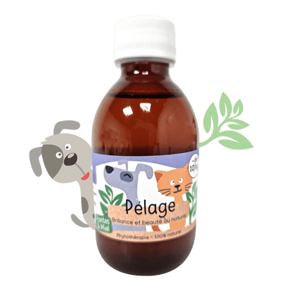 Sirop naturel Pelage chiens et chats Kas Tête - Le Royaume de Lecki