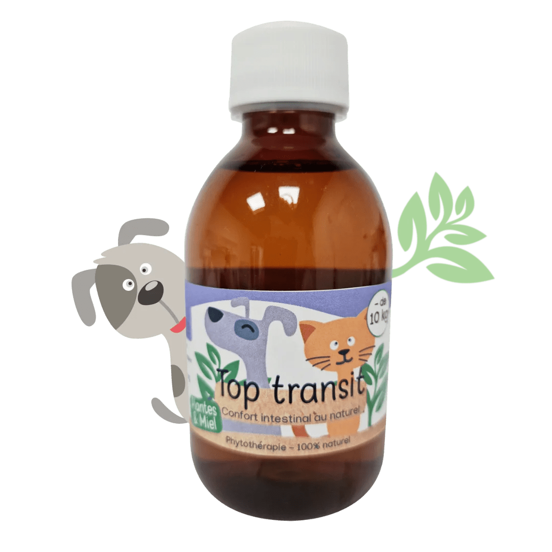 Sirop naturel Top transit chiens et chats Kas Tête - Le Royaume de Lecki