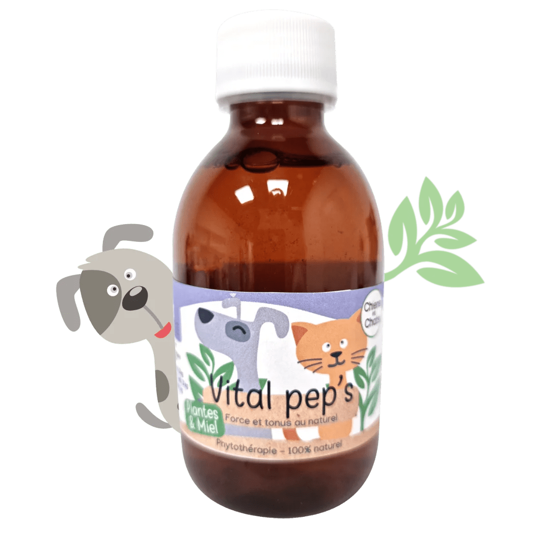 Sirop naturel Vitalisant chiens et chats Kas Tête - Le Royaume de Lecki