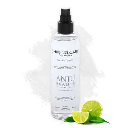 Spray Lotion Shining Care Anju Beauté - Le Royaume de Lecki